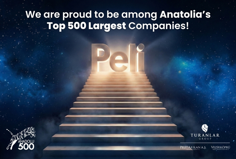 According to the Anatolian 500 – 2024 data, Vezirköprü Orman Ürünleri ranked 4th in the Wood–Forestry category.