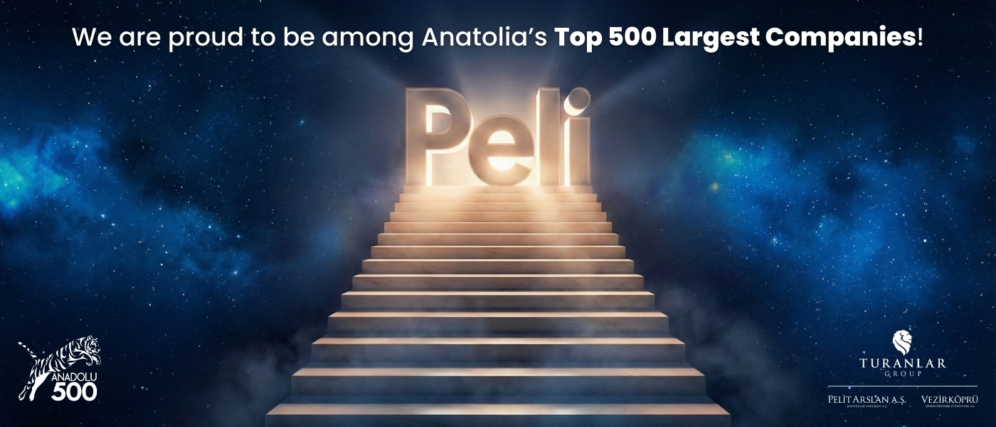 According to the Anatolian 500 – 2024 data, Vezirköprü Orman Ürünleri ranked 4th in the Wood–Forestry category.