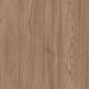 VERMONT ELM