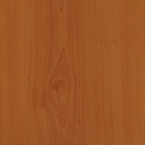 KOYU ARMUT
