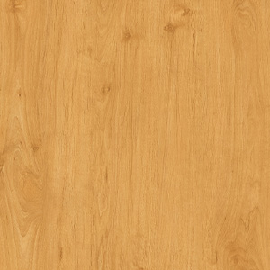 ALDER