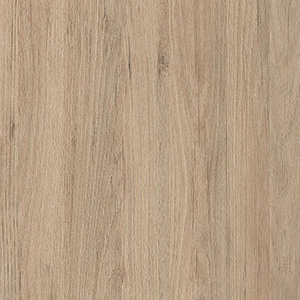 OTONA OAK