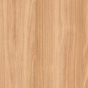 AMERİCAN MAPLE