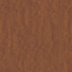 DELHİ OAK