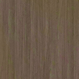 BRENT GREY MACAR