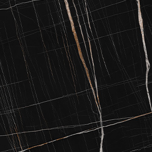SAHARA NOIR