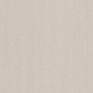 GREY LINE