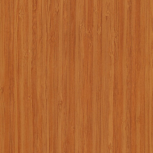YENİ BAMBU