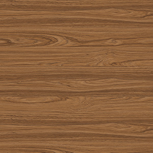 ABS TEAK