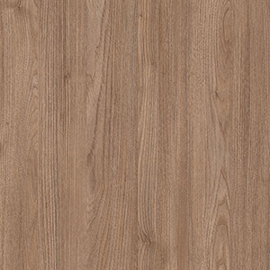 VERMONT ELM
