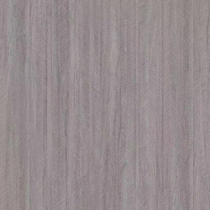 GREY MACAR
